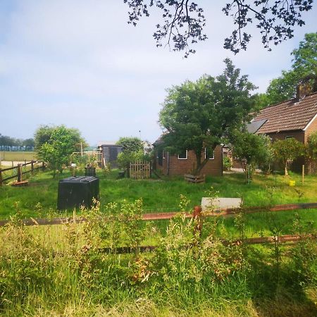 Trekkershut - Tiny House - Hikers Cottage Wijster Esterno foto