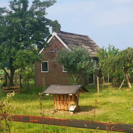 Trekkershut - Tiny House - Hikers Cottage Wijster Esterno foto