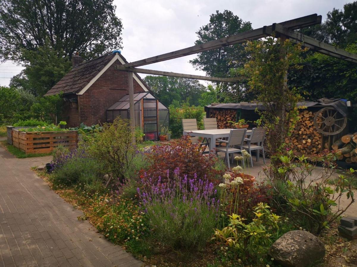 Trekkershut - Tiny House - Hikers Cottage Wijster Esterno foto