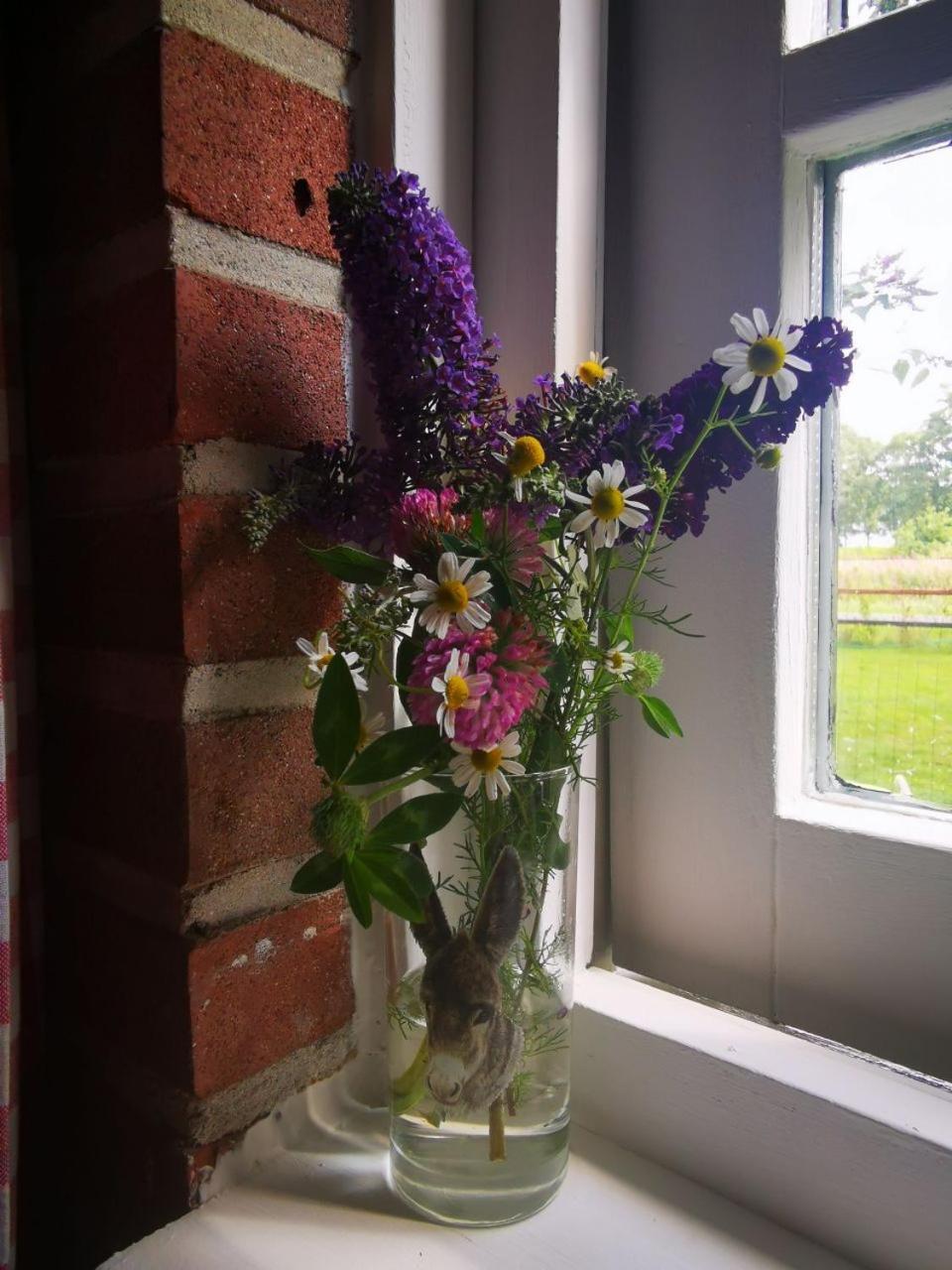Trekkershut - Tiny House - Hikers Cottage Wijster Esterno foto