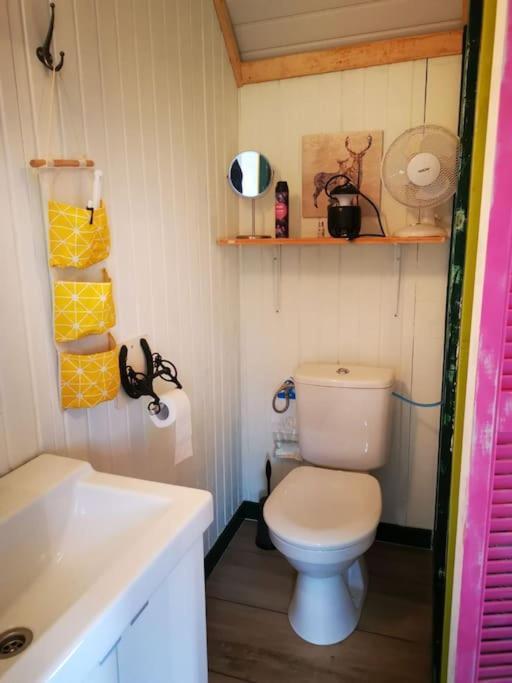 Trekkershut - Tiny House - Hikers Cottage Wijster Esterno foto