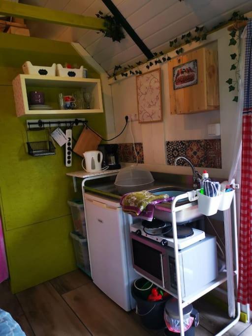 Trekkershut - Tiny House - Hikers Cottage Wijster Esterno foto